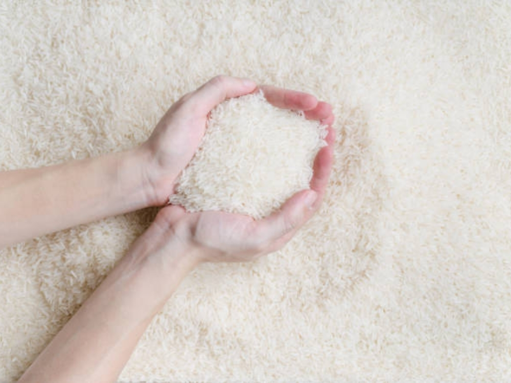 Dùng tỏi để bảo quản gạo